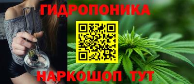 MDMA Новозыбков