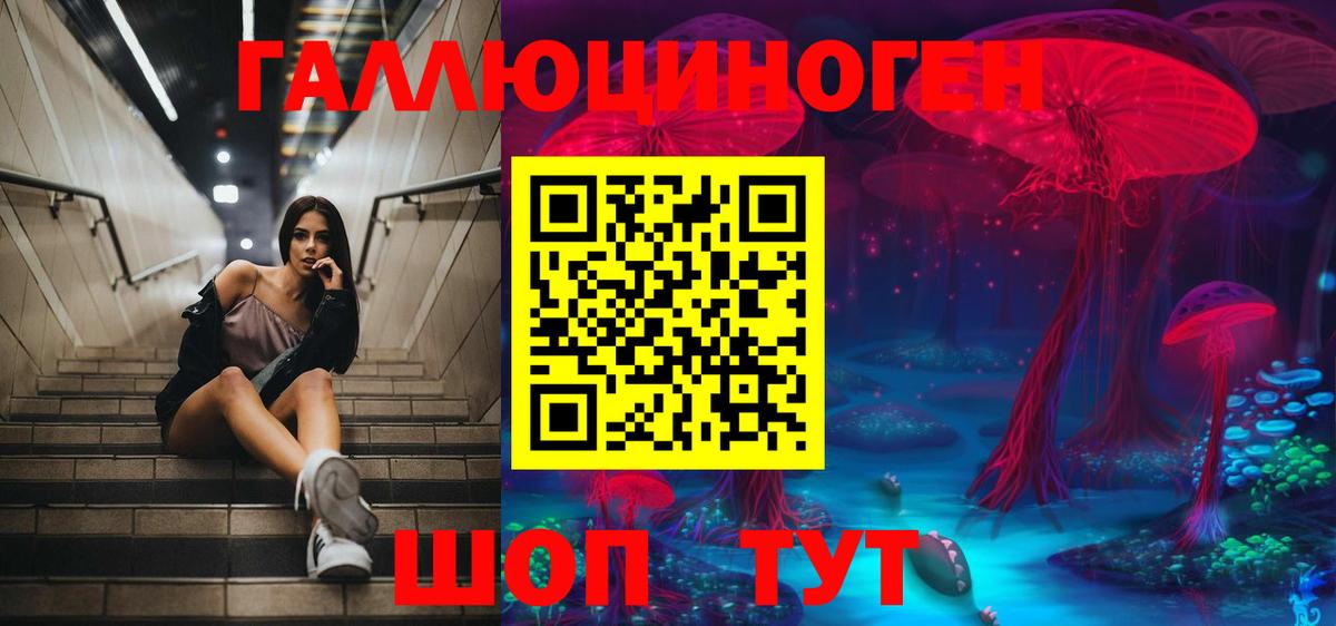 Галлюциногенные грибы Psilocybe  Галлюциногенные грибы Psilocybe  Вход с VPN  Асино 